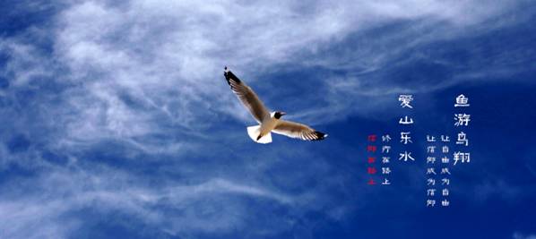 么好但不会像你想象得那么糟既然选择了无论好的还是糟的请坚持下去!麻将胡了2试玩我的365天创业日记—创业永远不可能像你想象得那(图6) 么好但不会像你想象得那么糟既然选择了无论好的还是糟的请坚持下去!麻将胡了2试玩我的365天创业日记—创业永远不可能像你想象得那(图6)